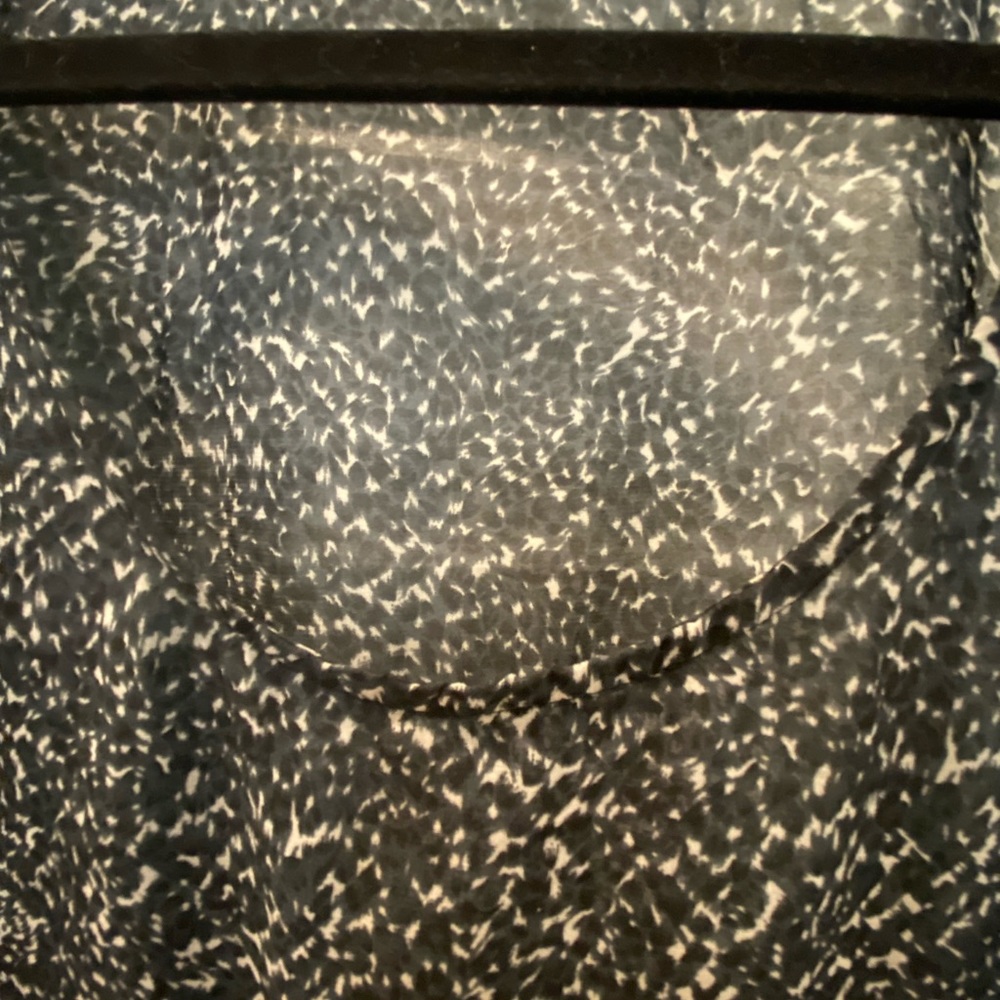 Sheer Top - Picture 3 of 3